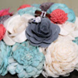 Meet your Posher, Kelly